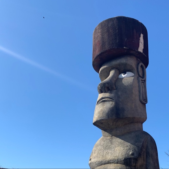 Meet your Posher, Alexander - Picture 1 of 1